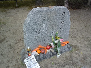 2006021206