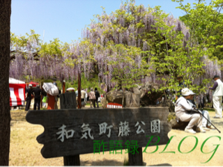 iphone/image-20120505232736.png