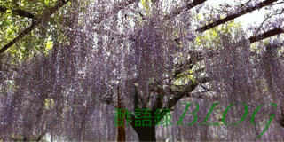 iphone/image-20120505232758.png